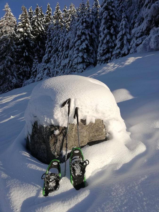 Apart Waldesruh Arzl im Pitztal Exteriör bild