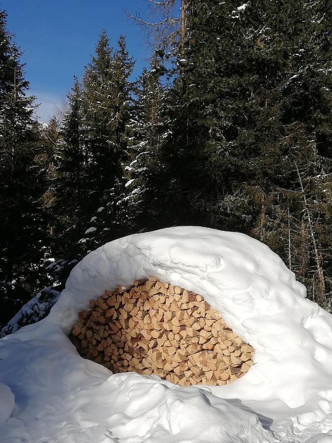 Apart Waldesruh Arzl im Pitztal Exteriör bild