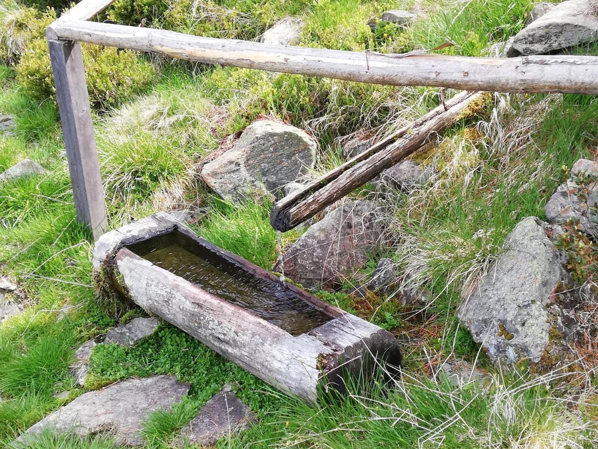 Apart Waldesruh Arzl im Pitztal Exteriör bild